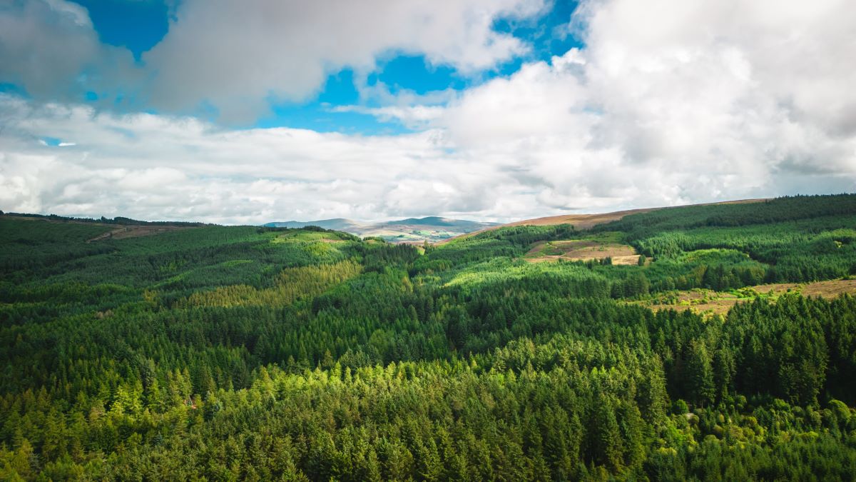 Naturschätze vor deiner Haustür entdecken